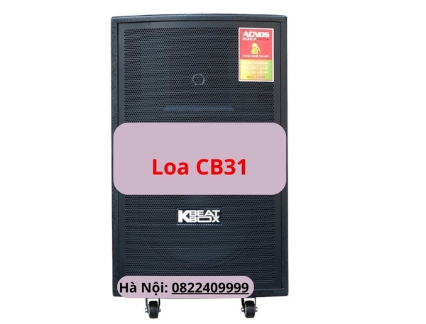 Loa ACNOS CB31