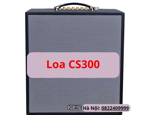 Loa ACNOS CS300