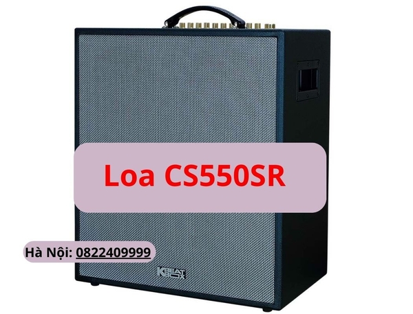 Loa ACNOS CS550SR