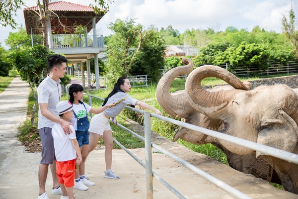 Mường Thanh Luxury Diễn Lâm