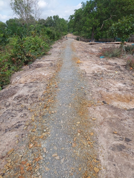 Ms20- Đất bán khóm 24 công giá 135tr/công