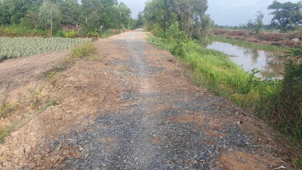 Ms26_Bán đất 18,5 công khóm giá 3 tỷ