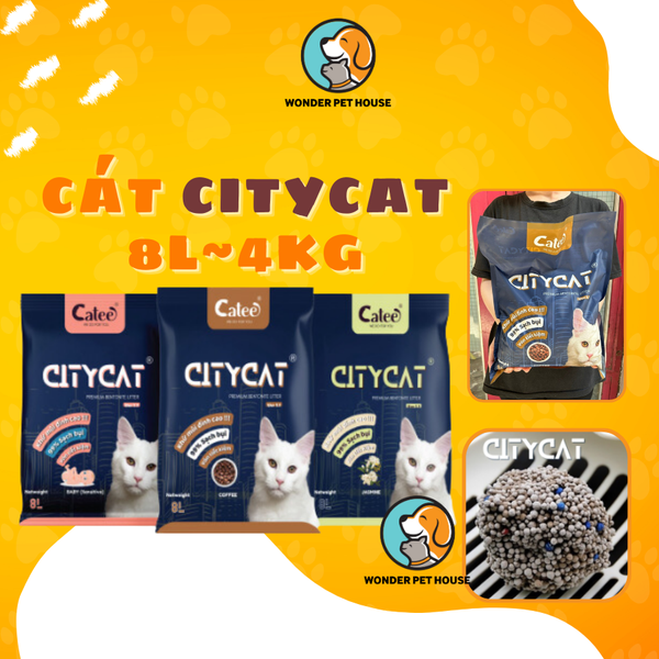 Cát vệ sinh cho mèo CITYCAT 8L 4kg siêu vón khử mùi giá rẻ