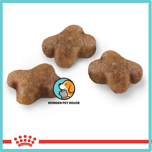Hạt Royal Canin Mother & Baby Cat Cho Mèo Từ 0-2 tháng tuổi và mèo mẹ