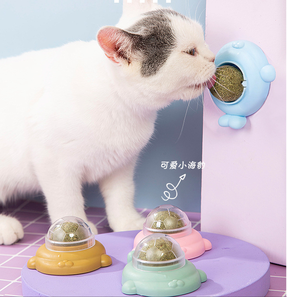 Kẹo Cỏ Mèo Dán Tường Hình Hải Cẩu