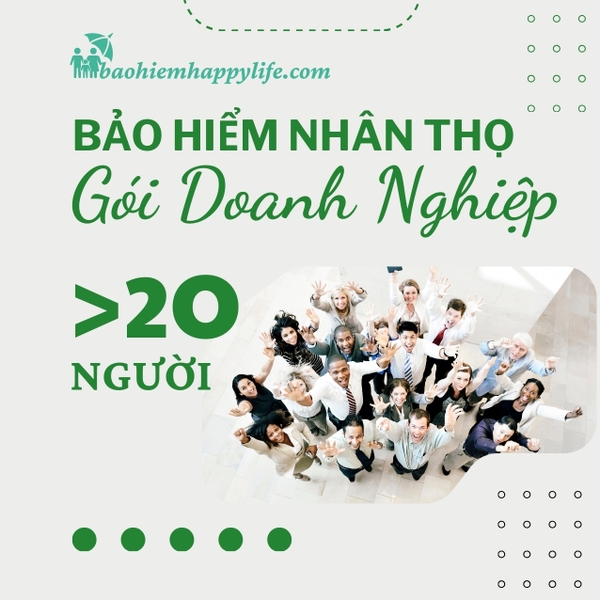BHNT Doanh Nghiệp Gói >20 người
