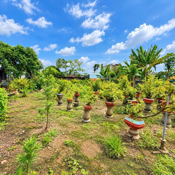 🌿 ĐẤT VƯỜN CẶP RẠCH BẰNG TĂNG - ĐƯỜNG NHỰA ÔTÔ