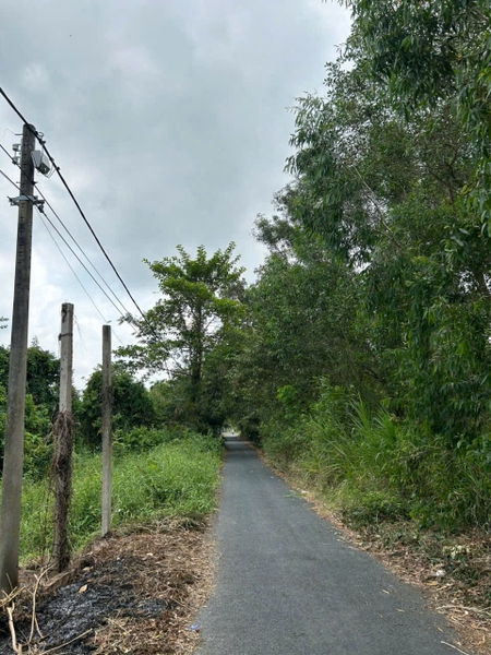 BÁN 503M² ĐẤT MẶT TIỀN RẠCH CÁI DUNG – ĐỐI DIỆN KCN VÀM CỐNG