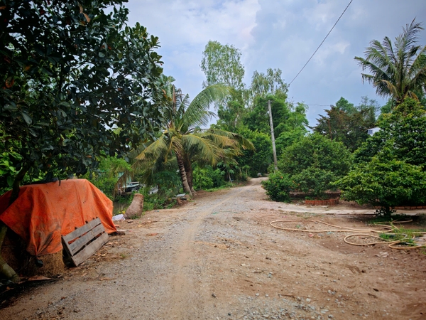 🌳 SIÊU PHẨM TRANG TRẠI SINH THÁI 5.3 HECTA – TỌA ĐỘ VÀNG ĐÓN ĐẦU CAO TỐC & KCN
