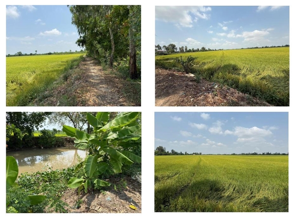 🌾 BÁN 22 CÔNG ĐẤT RUỘNG MẶT TIỀN KÊNH - PHƯỜNG BÌNH ĐỨC