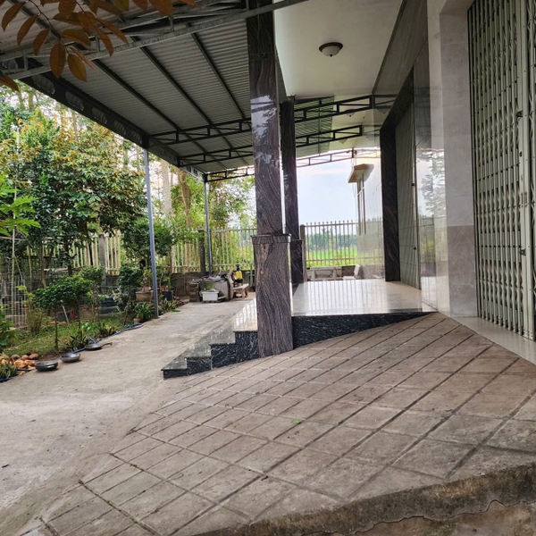 🏡 BÁN NHÀ VÀ ĐẤT 500 m² – VỊ TRÍ KẾ ĐƯỜNG LÊ TRỌNG TẤN, MỸ PHƯỚC