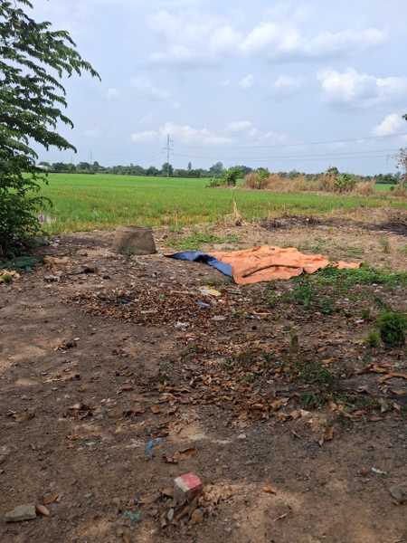 🌾 BÁN ĐẤT LẬP VƯỜN GIÁ RẺ – MỸ THỚI (CHỈ 450 TRIỆU/MIẾNG)