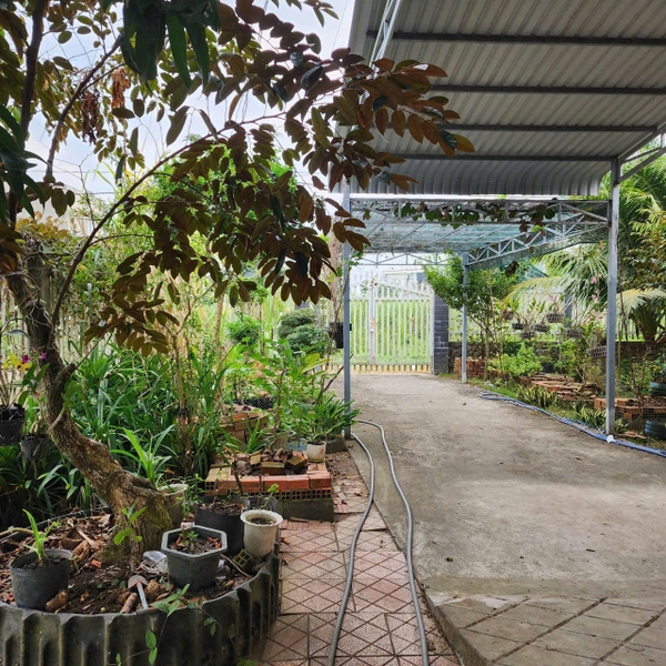 🏡 BÁN NHÀ VÀ ĐẤT 500 m² – VỊ TRÍ KẾ ĐƯỜNG LÊ TRỌNG TẤN, MỸ PHƯỚC