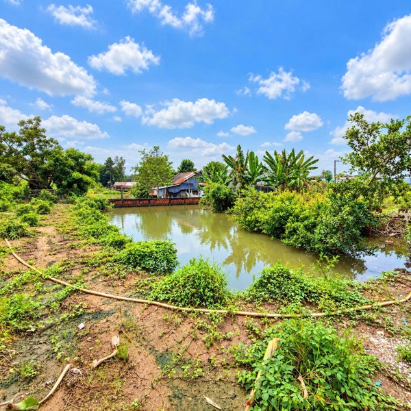 🌿 ĐẤT VƯỜN CẶP RẠCH BẰNG TĂNG - ĐƯỜNG NHỰA ÔTÔ