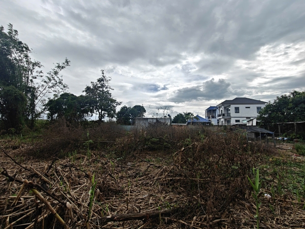 🌿 BÁN 1.278M² ĐẤT CẶP RẠCH MƯƠNG ĐIỂM – GẦN ĐƯỜNG TRÁNH – GIÁ 4 TỶ