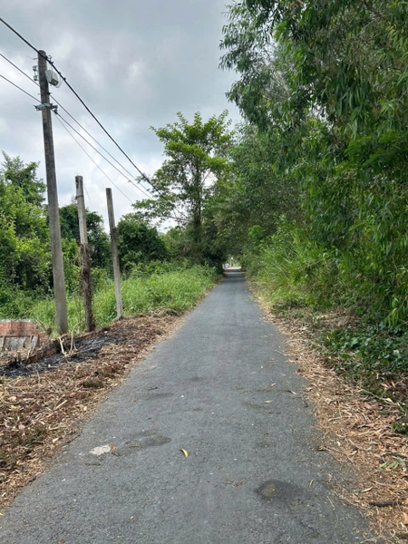 BÁN 503M² ĐẤT MẶT TIỀN RẠCH CÁI DUNG – ĐỐI DIỆN KCN VÀM CỐNG