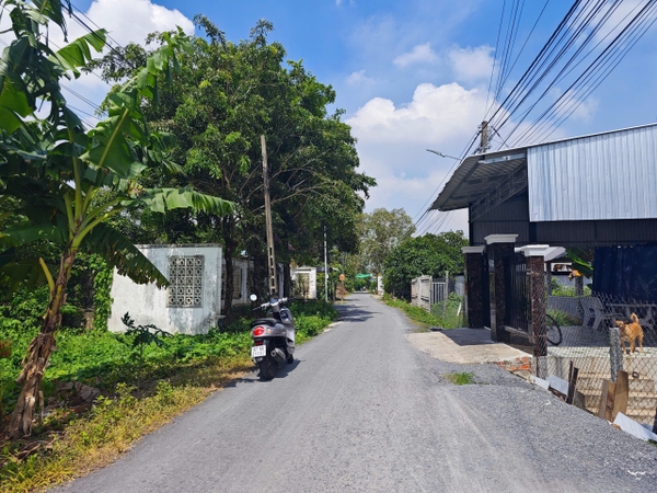 🌳 BÁN ĐẤT VƯỜN ĐƯỜNG NHỰA MỸ HÒA – GẦN CẦU PHÚ HÒA
