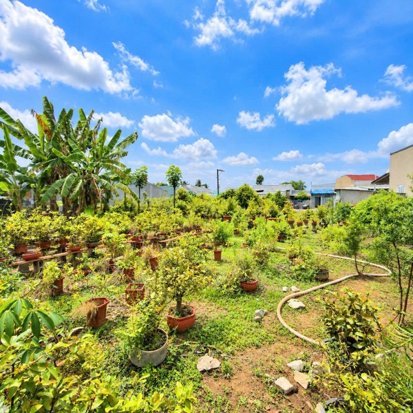 🌿 ĐẤT VƯỜN CẶP RẠCH BẰNG TĂNG - ĐƯỜNG NHỰA ÔTÔ