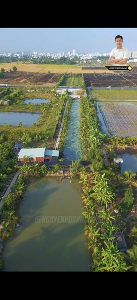 🌿 CHO THUÊ HOẶC HỢP TÁC – SIÊU PHẨM VƯỜN SINH THÁI MẶT TIỀN TUYẾN TRÁNH (MỸ HÒA)