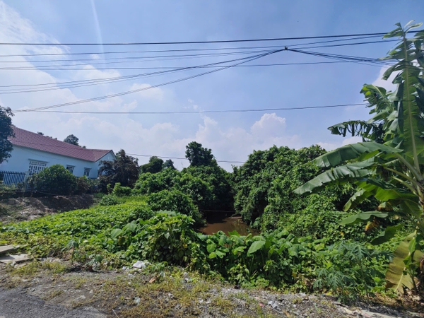 🌳 BÁN ĐẤT VƯỜN ĐƯỜNG NHỰA MỸ HÒA – GẦN CẦU PHÚ HÒA