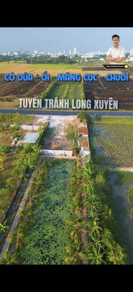 🌿 CHO THUÊ HOẶC HỢP TÁC – SIÊU PHẨM VƯỜN SINH THÁI MẶT TIỀN TUYẾN TRÁNH (MỸ HÒA)