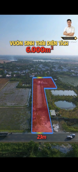 🌿 CHO THUÊ HOẶC HỢP TÁC – SIÊU PHẨM VƯỜN SINH THÁI MẶT TIỀN TUYẾN TRÁNH (MỸ HÒA)
