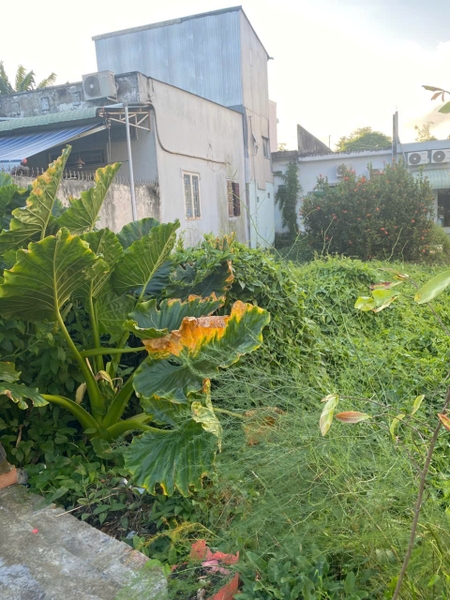 🏡 BÁN NỀN MẶT TIỀN TRẦN NGUYÊN ĐÁN NỐI DÀI – GIÁ TỐT, CÒN THƯƠNG LƯỢNG