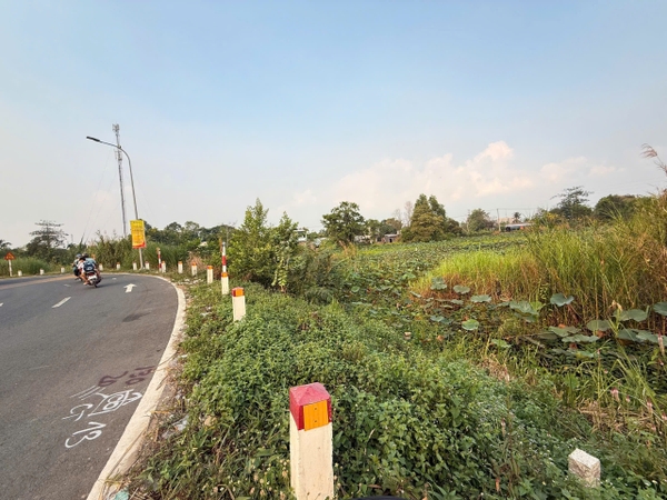 🚀 BÁN 2 CÔNG ĐẤT MẶT TIỀN ĐƯỜNG DẪN TRÁNH LONG XUYÊN (MỸ HÒA) – GIÁ MỀM NHẤT KHU VỰC