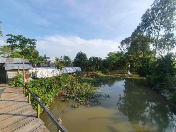 🔰 Bán Đất Ruộng Nhánh Cái Sao Bờ Hồ, Mỹ Thới!