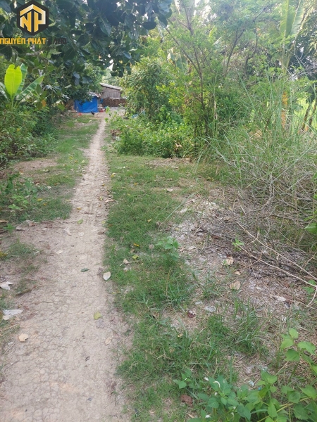[NP27] Bán 800m2 Đất lúa Kênh ranh Mỹ Hòa