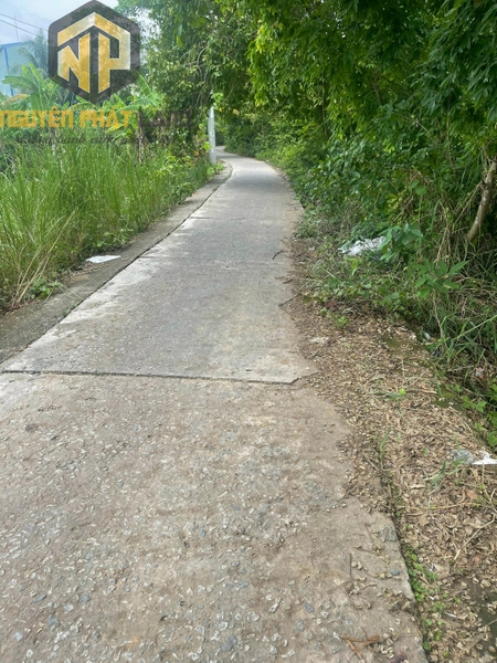 [NP10] Bán đất đất gần trường học Bùi Thị Xuân - Mương Ngọn Cái