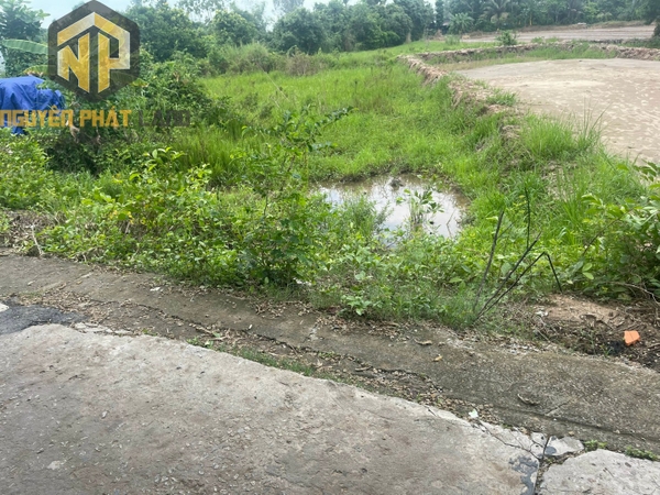 [NP10] Bán đất đất gần trường học Bùi Thị Xuân - Mương Ngọn Cái
