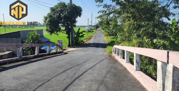[NP26] Bán Đất ruộng Mỹ Thới lên được thổ