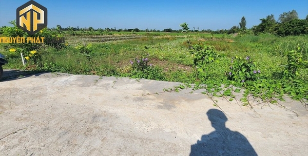 [NP26] Bán Đất ruộng Mỹ Thới lên được thổ
