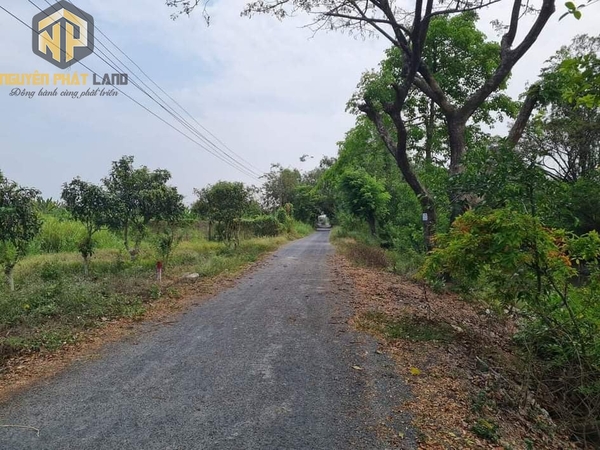 [NP23] Bán đất CLN gần khu Công nghiệp Vàm Cống