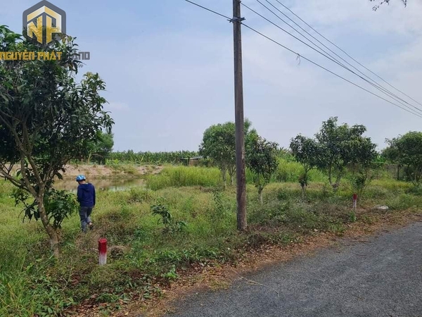 [NP23] Bán đất CLN gần khu Công nghiệp Vàm Cống