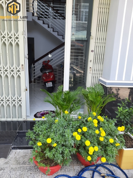 [NP36] Bán nhà Hà Huy Tập, Xẻo Trôm