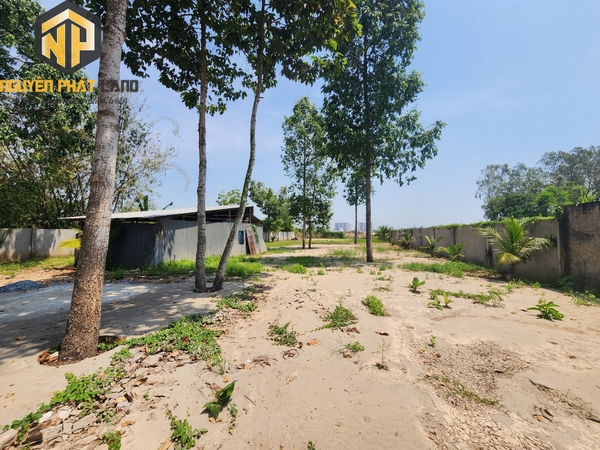 [NP40] Bán 3100m2 Đất mặt tiền đường tránh