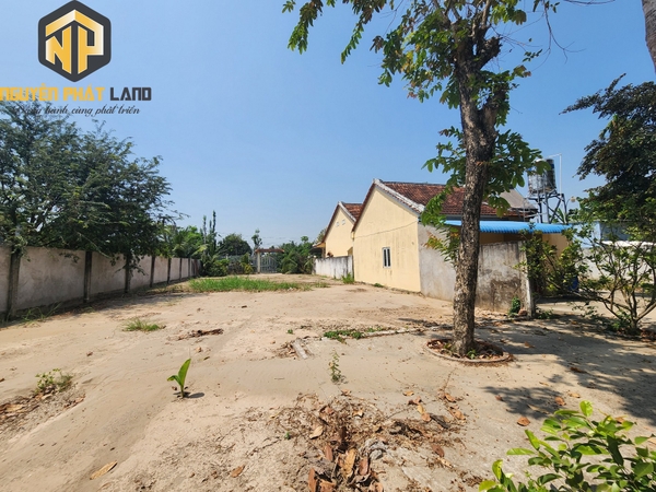 [NP40] Bán 3100m2 Đất mặt tiền đường tránh