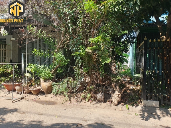 Bán nhanh GIÁ TỐT nền Đường số 9 Tây Đại Học, Mỹ Phước [B.ĐS9TĐH.1]