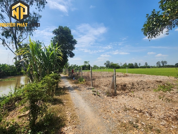 [NP78] Bán 500 m2. Mương Hội - Mỹ Hòa