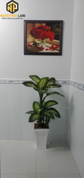 [NP112] Bán nhà Khu dân cư Khánh Hải - Mỹ Phước