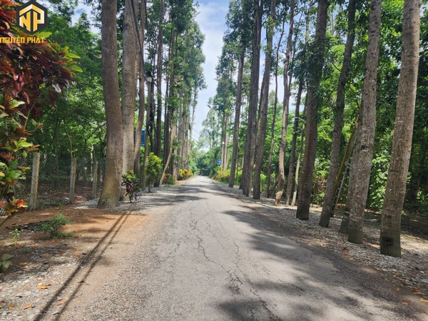[NP121] Bán đất P.Mỹ Khánh- MT Võ Văn Hoài ( lộ liên xã )