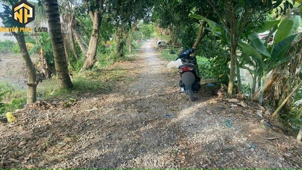 BÁN ĐẤT RUỘNG TÂY AN - BỜ HỒ