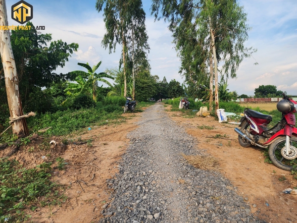 [NP21] Bán đất thổ cư và ruộng Rạch Cần Xây