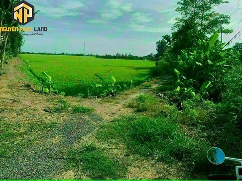 [DB.KSKHĐT.1] BÁN ĐẤT 500 - 1600M2