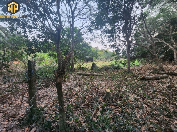 BÁN ĐẤT PHƯỜNG MỸ QUÝ