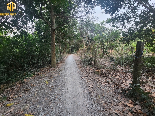 BÁN ĐẤT PHƯỜNG MỸ QUÝ