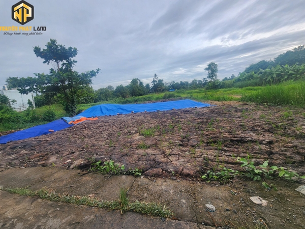 BÁN ĐÁT RUỘNG CẶP RẠCH RÒI LỚN P. MỸ QUÝ  [DB.ĐCRGL.1 ]