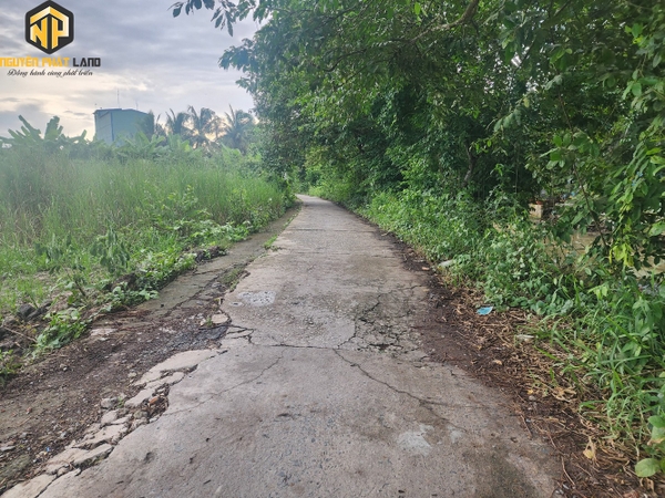 BÁN ĐÁT RUỘNG CẶP RẠCH RÒI LỚN P. MỸ QUÝ  [DB.ĐCRGL.1 ]